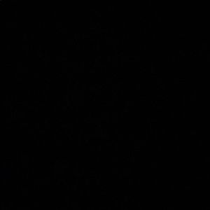 Meet your Posher, Ella